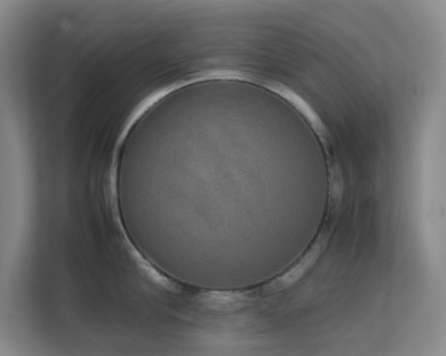 X0000113850910200909241245