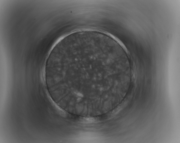 X0000113850911200909241245