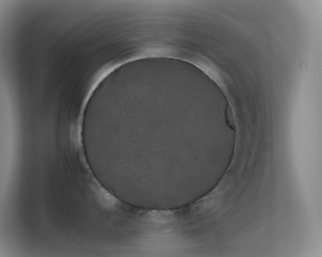 X0000113850912200909241245