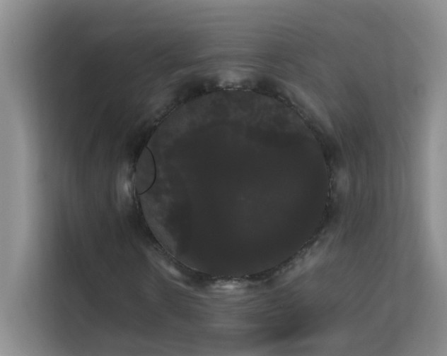 X0000113850914200909241244