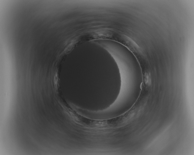 X0000113850915200909241244