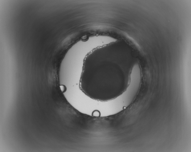 X0000113850918200909241244