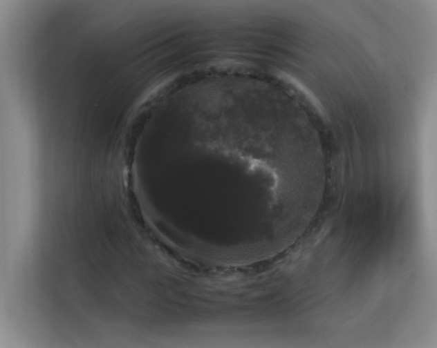 X0000113850919200909241244