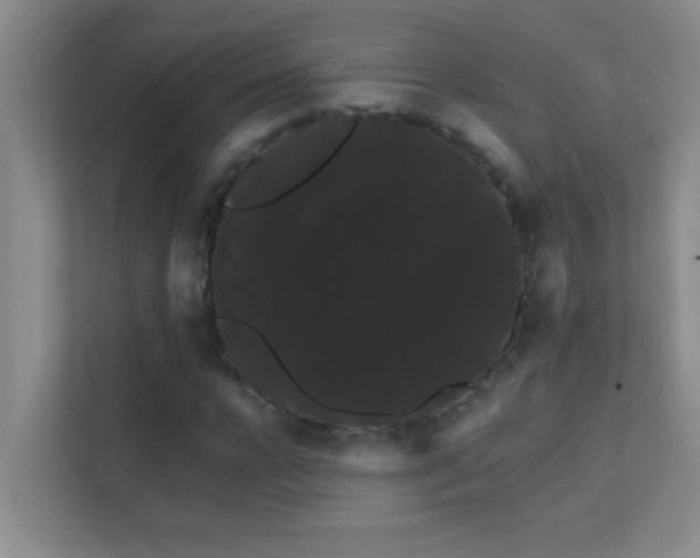 X0000113850920200909241244