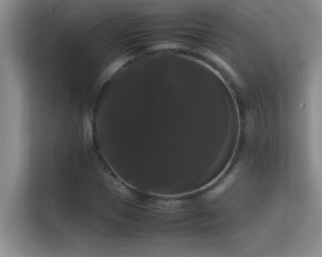 X0000113850921200909241244