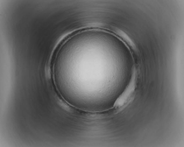 X0000113850924200909241244