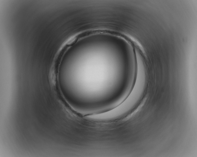 X0000113850925200909241244