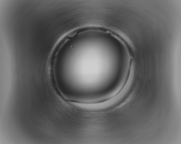 X0000113850926200909241244