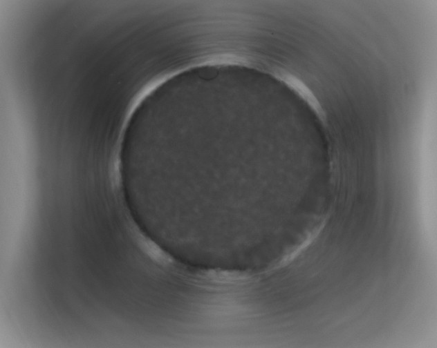 X0000113850928200909241244