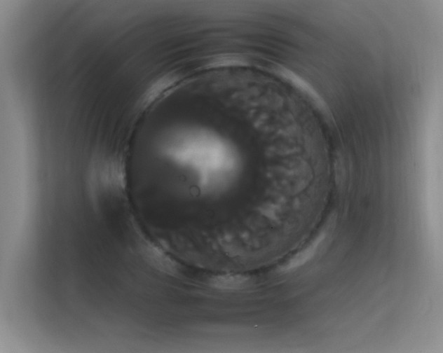 X0000113850929200909241244