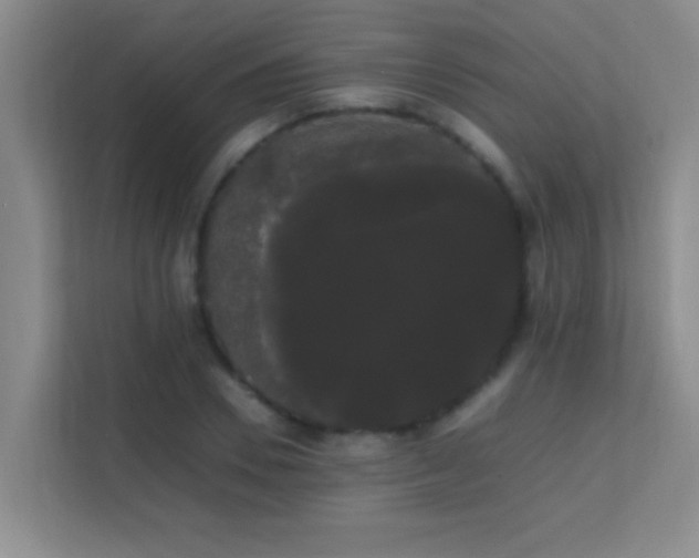 X0000113850930200909241244