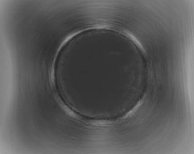 X0000113850932200909241244