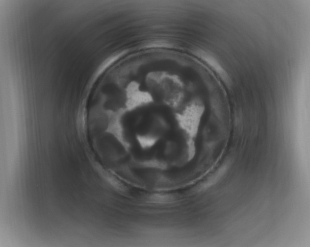 X0000113850933200909241244