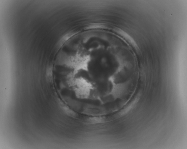 X0000113850937200909241244