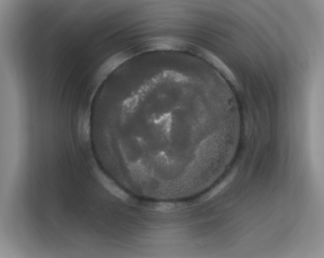 X0000113850938200909241244