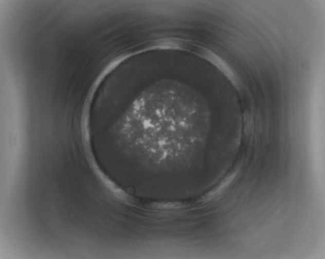 X0000113850939200909241244