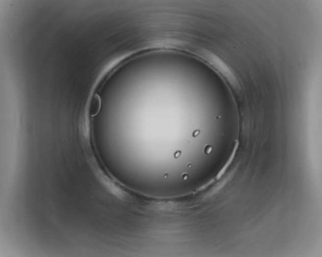 X0000113850940200909241245