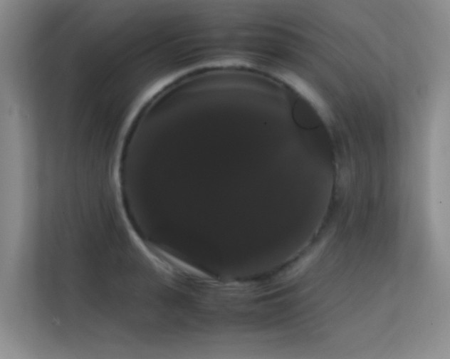 X0000113850943200909241245