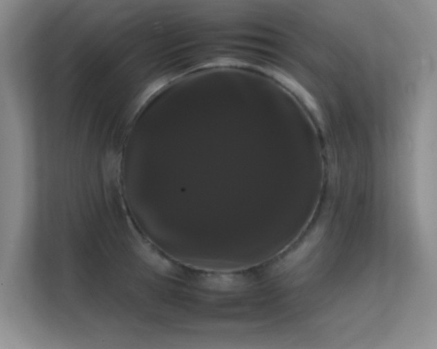 X0000113850945200909241245