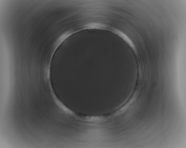 X0000113850946200909241245