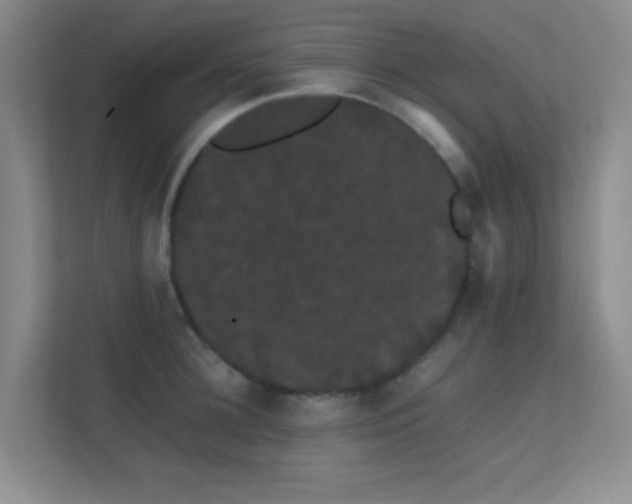 X0000113850948200909241245