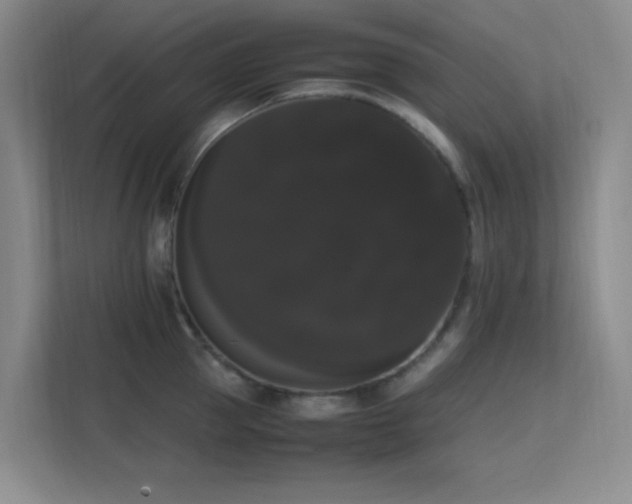 X0000113850953200909241245