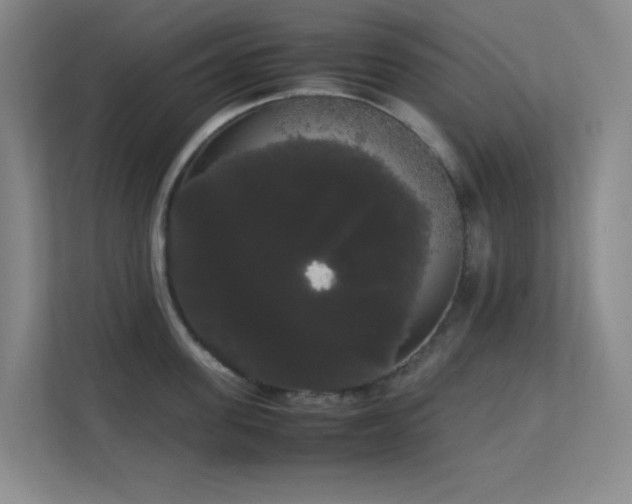 X0000113850955200909241245