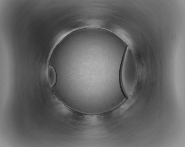 X0000113850956200909241245