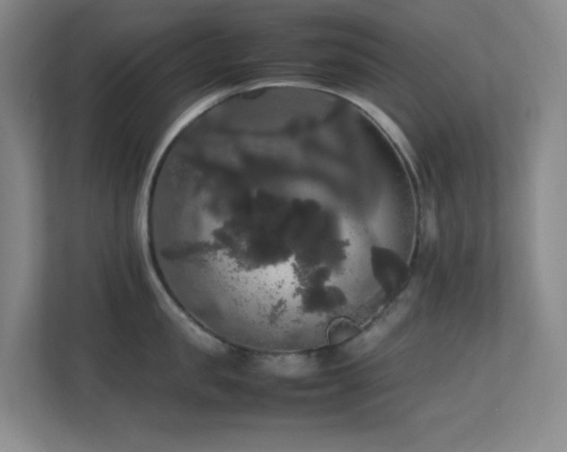 X0000113850957200909241245