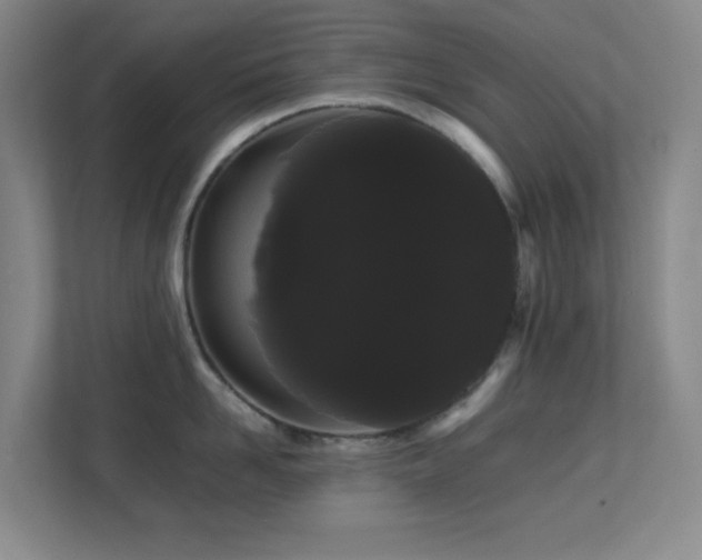 X0000113850958200909241245