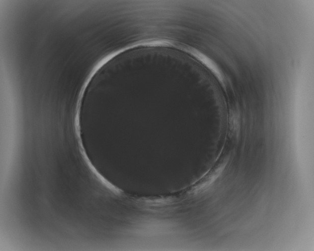 X0000113850959200909241245