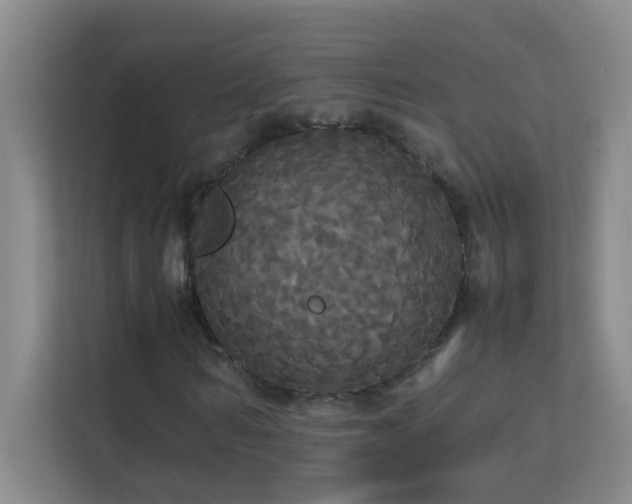 X0000113850962200909241244