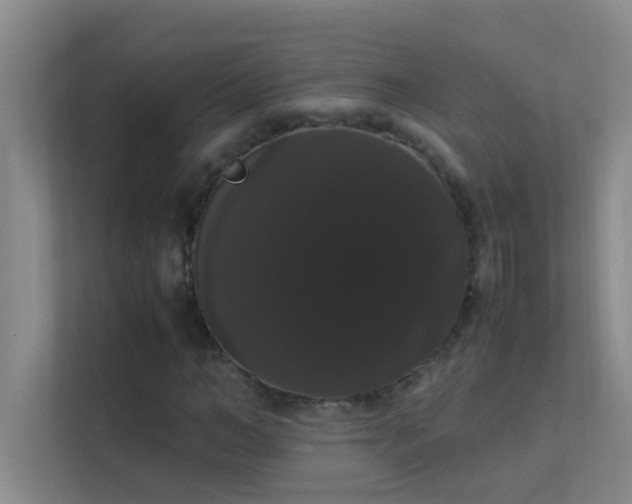 X0000113850966200909241244