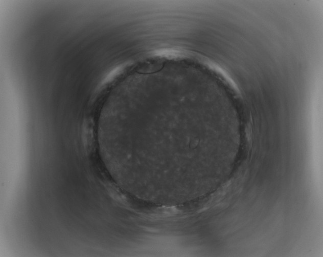 X0000113850968200909241244