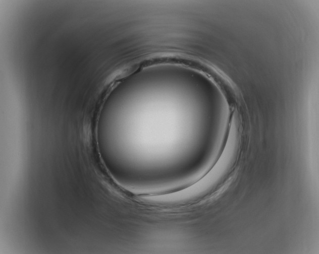 X0000113850969200909241244