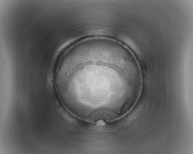 X0000113850971200909241244