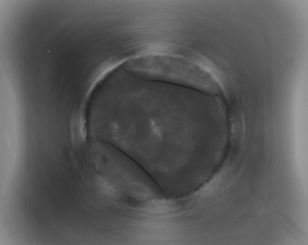 X0000113850973200909241244