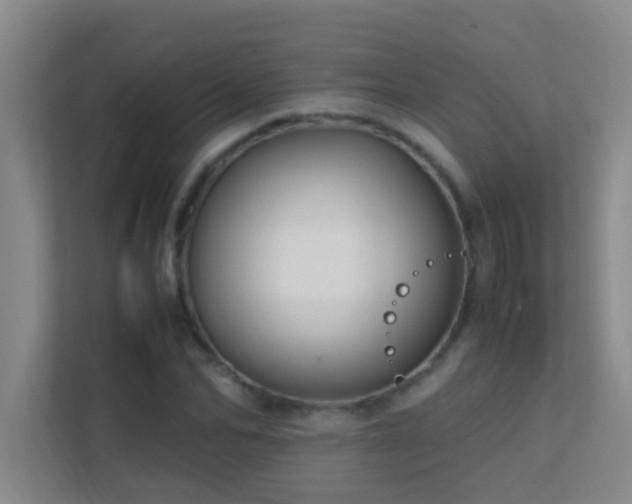 X0000113850974200909241244