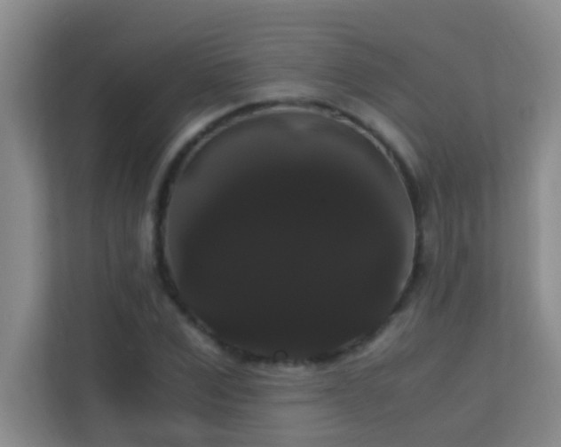 X0000113850975200909241244