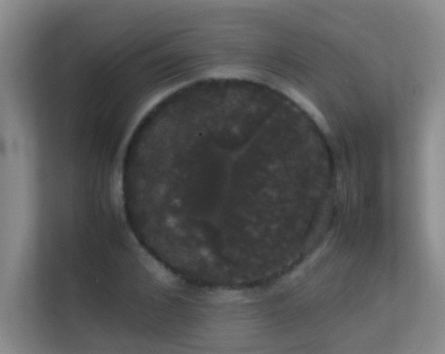 X0000113850976200909241244