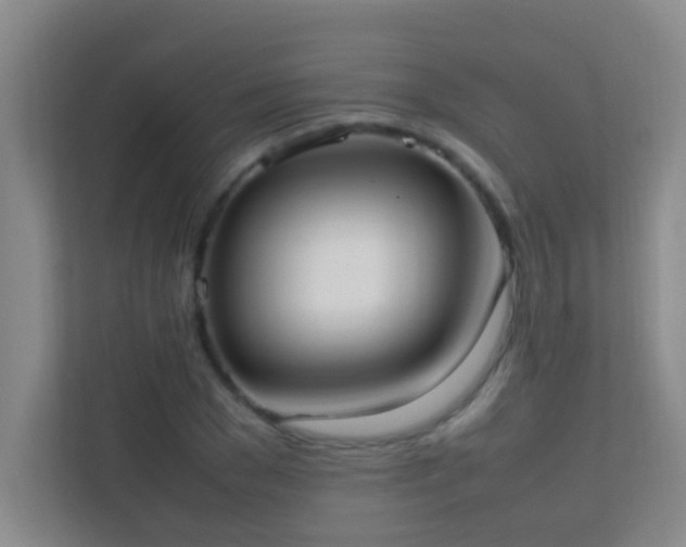 X0000113850977200909241244