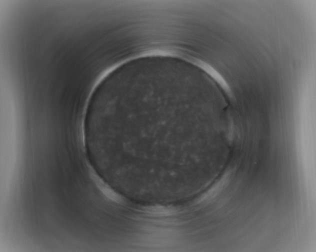 X0000113850980200909241244