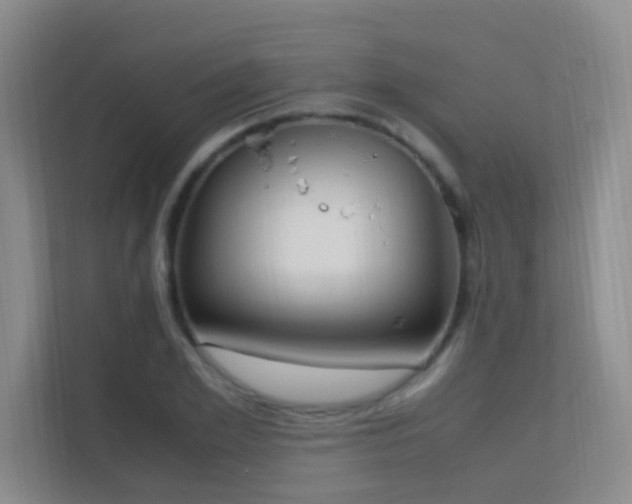 X0000113850981200909241244