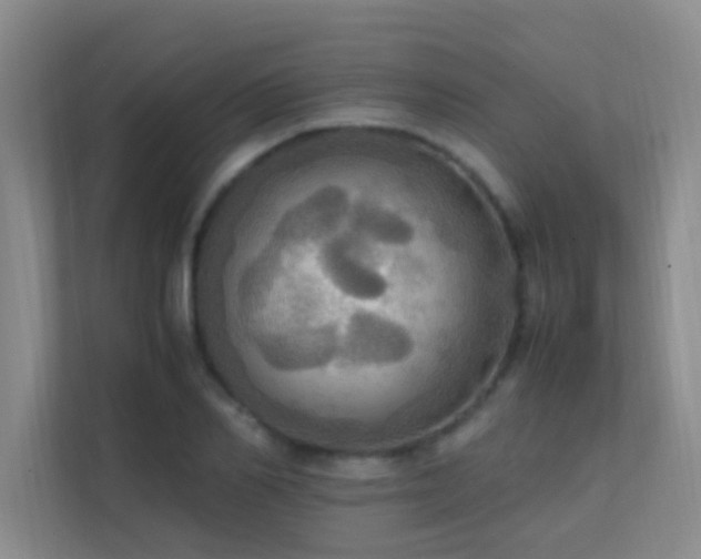 X0000113850982200909241244