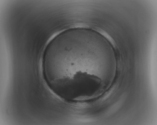 X0000113850983200909241244