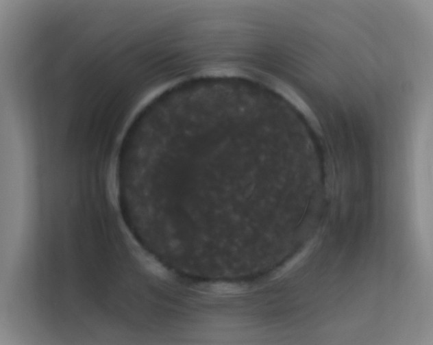 X0000113850984200909241244