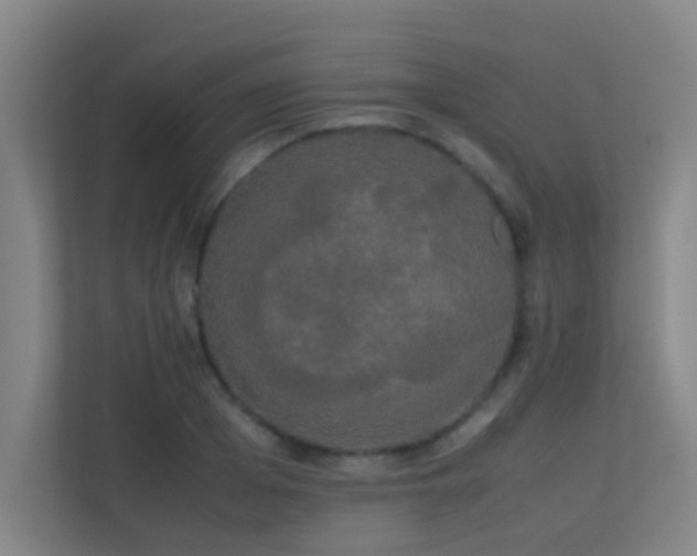 X0000113850985200909241244