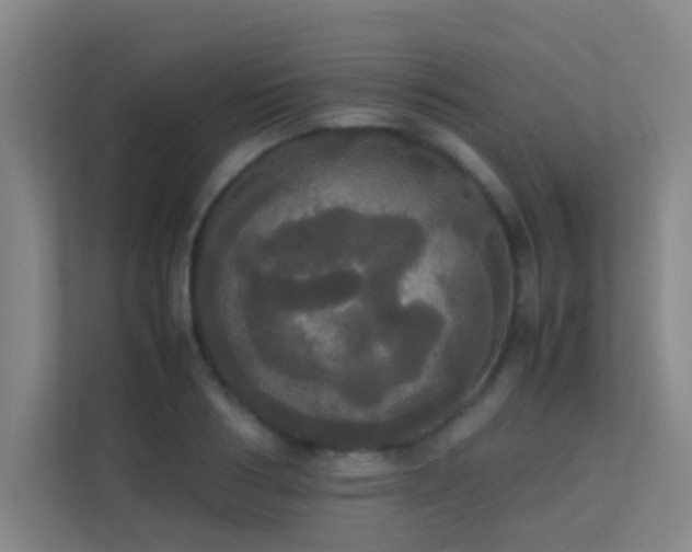 X0000113850986200909241244