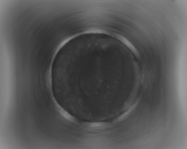 X0000113850988200909241244