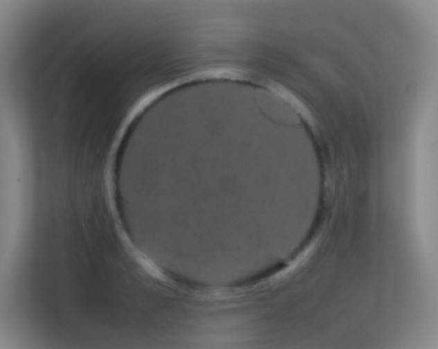 X0000113850989200909241244